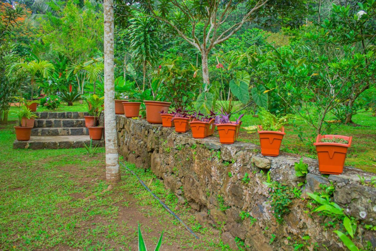 Welfare Agroturismo Milagrosa المظهر الخارجي الصورة