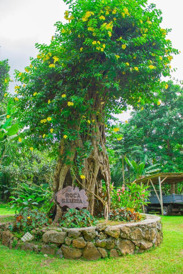 Welfare Agroturismo Milagrosa المظهر الخارجي الصورة